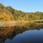 Wöhrsee im Herbst © Stadt Burghausen