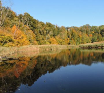 Wöhrsee im Herbst © Stadt Burghausen