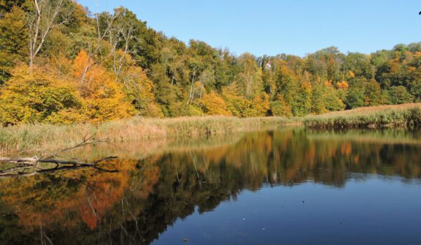 Wöhrsee im Herbst © Stadt Burghausen