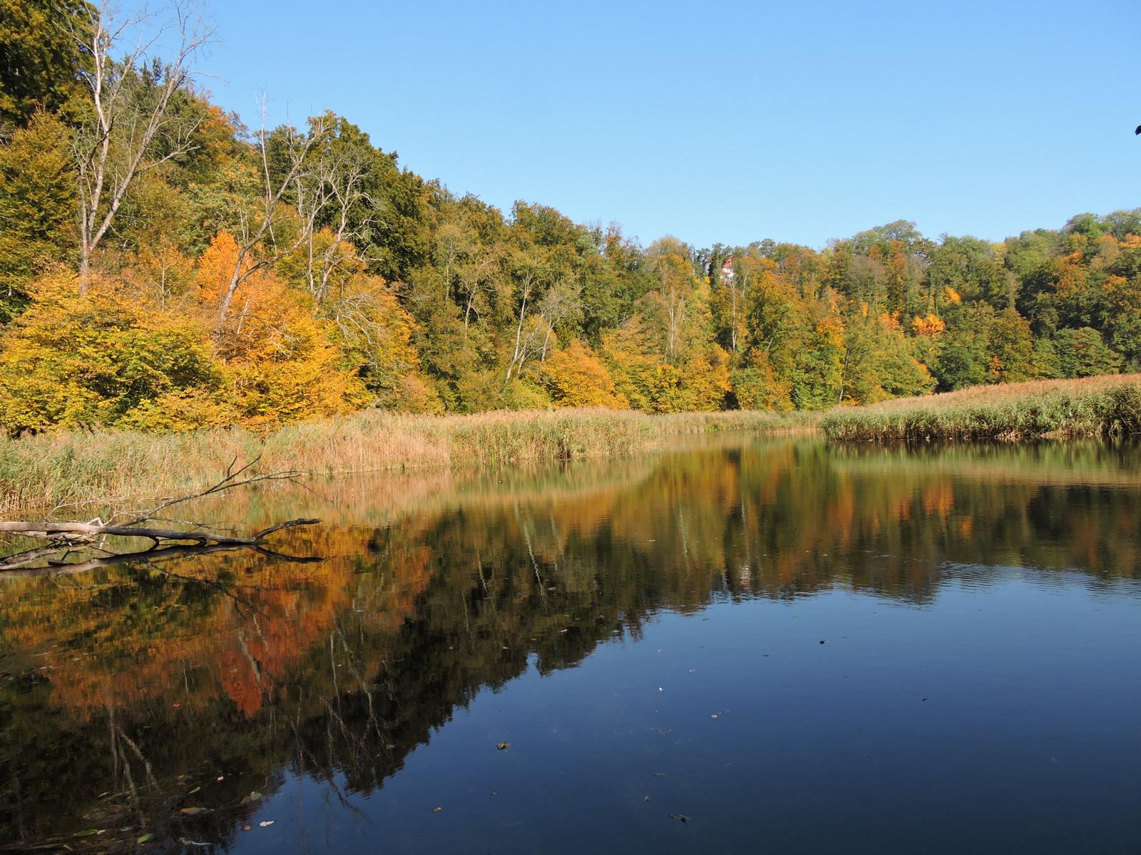 Wöhrsee im Herbst © Stadt Burghausen