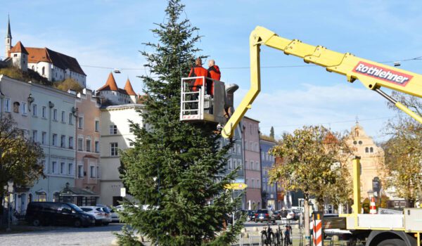 Zwei Elektriker der Stadt Burghausen bringen die Lichterkette am Christbaum am Stadtplatz an