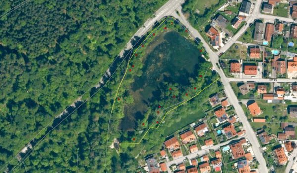 Biberzaun um den Scheuerhofweiher errichtet - die gelben Linien zeigen den Zaunverlauf, die roten Punkte den Einzelbaumschutz