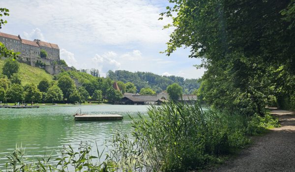 Ab 10. Juni 2024 kann es zu Behinderungen entlang des Wöhrsees kommen. Eine neue Uferbefestigung muss eingebaut werden © Stadt Burghausen/ebh