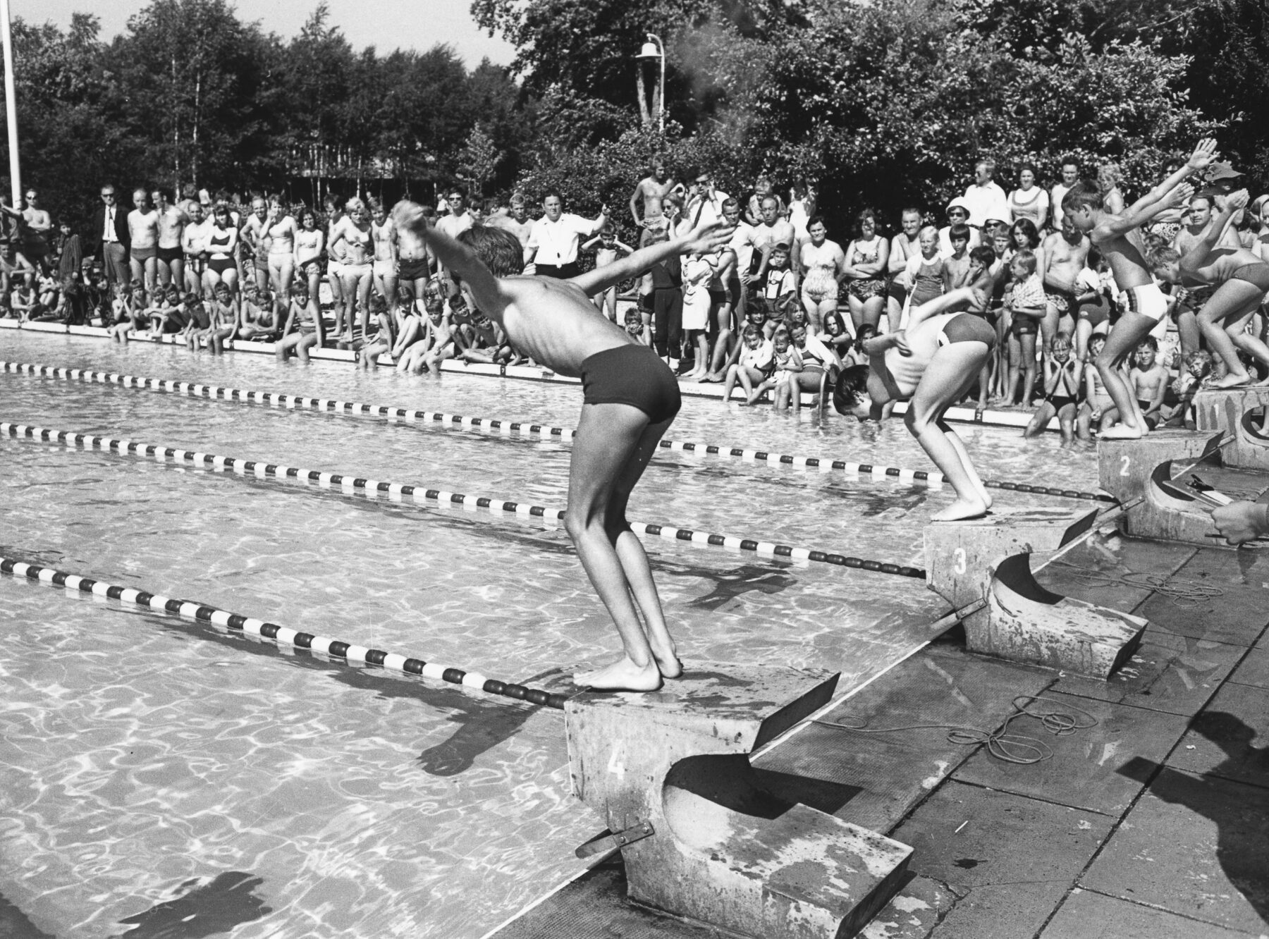 Das Becken im Freibad hat eine Fläche von 50x25 Meter.