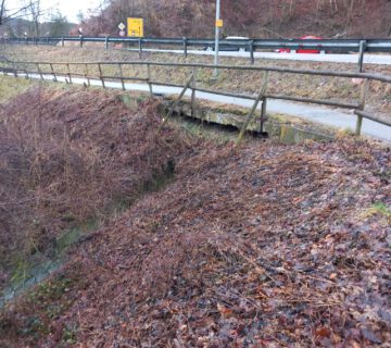 In marodem Zustand: die Betonhaltungen für das Geländer entlang des Kulnikwegs Fotocredit: Stadt Burghausen