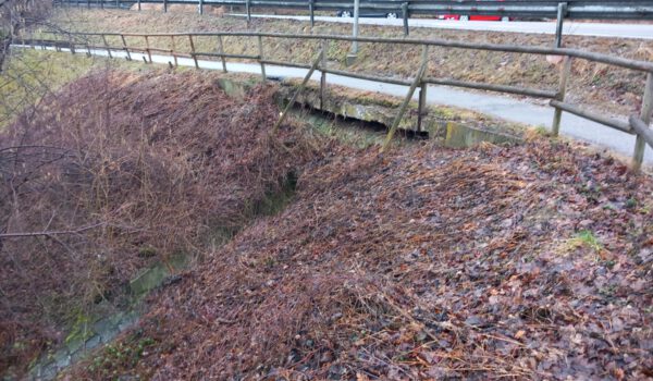 In marodem Zustand: die Betonhaltungen für das Geländer entlang des Kulnikwegs Fotocredit: Stadt Burghausen